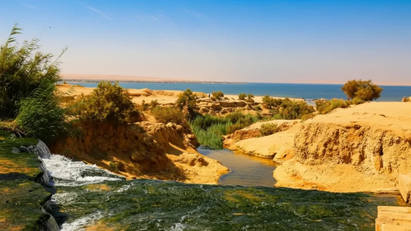 Sand Dune Areas – Soft Desert Dunes(2)