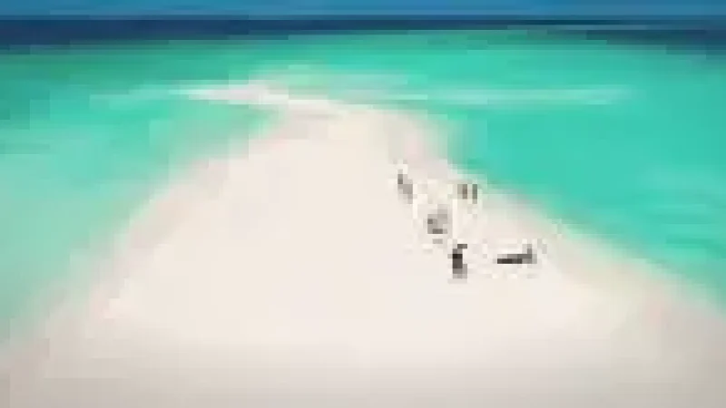 Sandbank Excursion Ar(2)