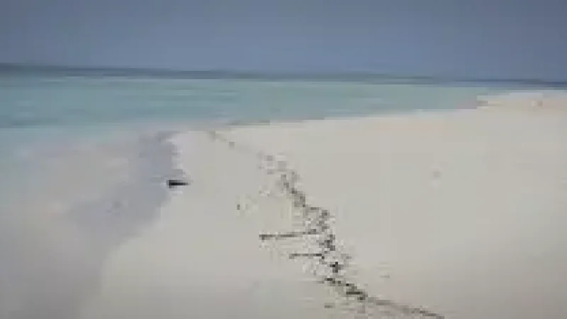 Sandbank Excursion Area – A prist(3)