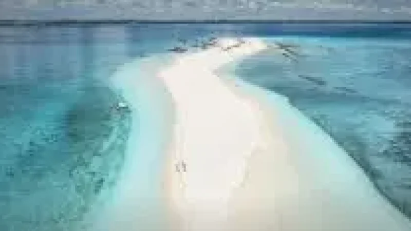 Sandbank Excursion Area(5)