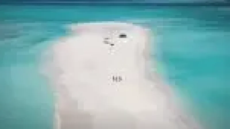 Sandbank Excursion Sp(1)