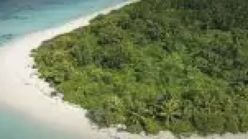 Sandbank Excursion Spot – A beautiful white-sand(1)