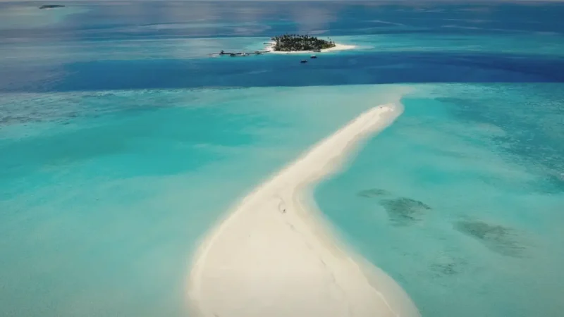 Sandbank Excursion Spot – A pristine white-sand area(3)