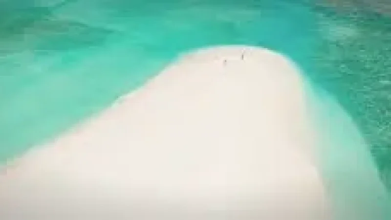 Sandbank Excursion Spot(1)