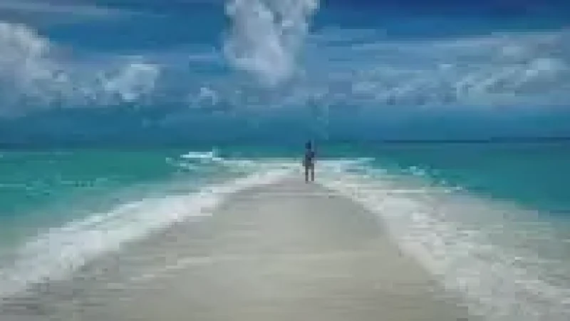 Sandbank Excursion Zon(1)