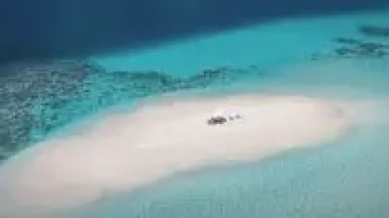 Sandbank Excursion Zone – A nearby pristine white-sand(4)
