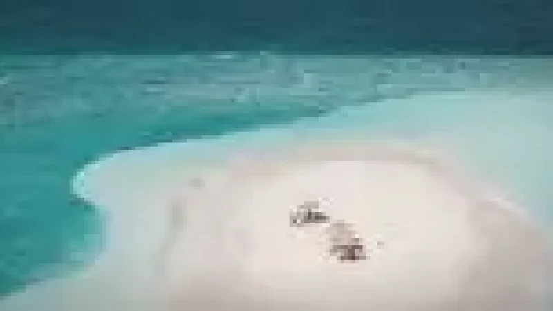 Sandbank Excursion Zone – A pristine nearby white-sand(4)
