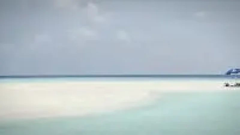 Sandbank Excursion Zone –(4)