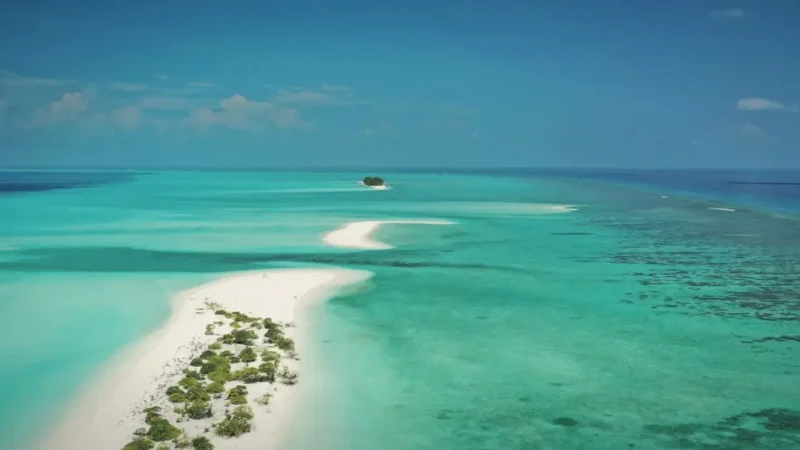 Sandbank Excursion Zone(2)