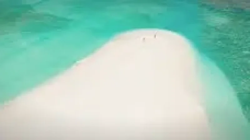 Sandbank Excursion Zone(5)
