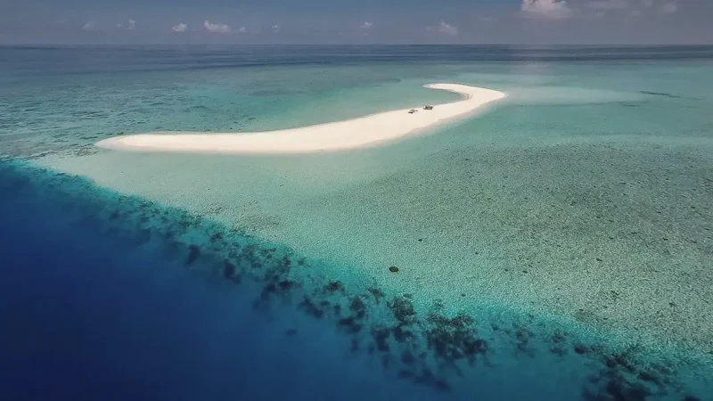 Sandbank Tours(3)