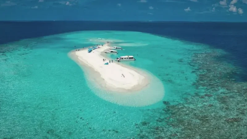 Sandbank Tours(3)