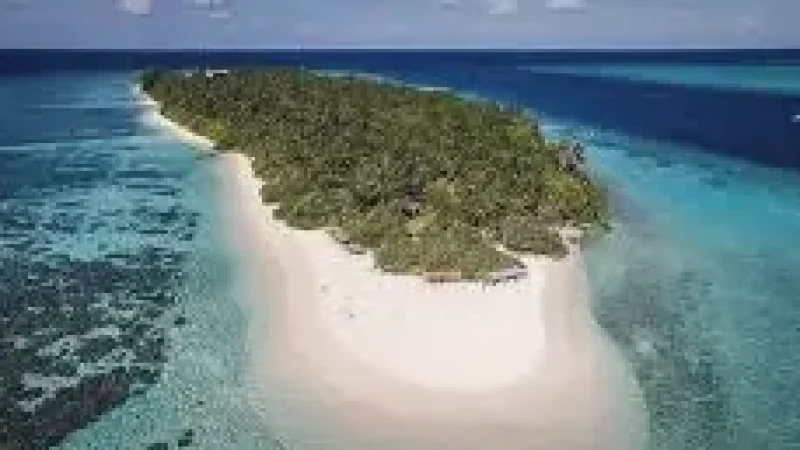 Sandbank Trip Area – A nearby untouched white-sand(4)