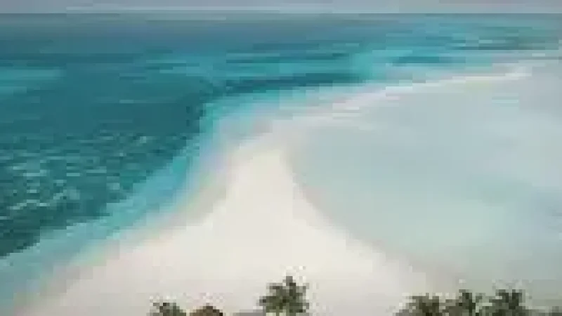 Sandbank Zone – A nearby white-sand l(5)