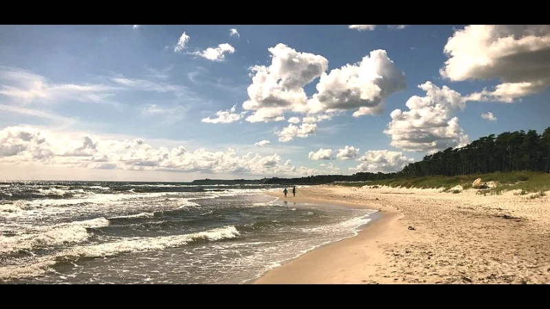 Sandskogen Beach(5)