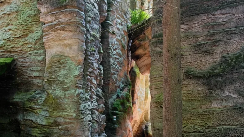 Sandstone Cliffs – Unique Rock Formations(5)