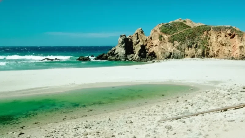 Sandy Shore Section(1)