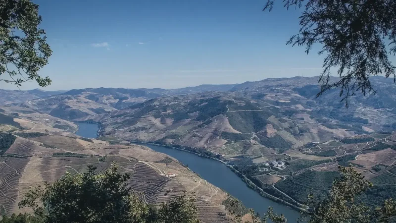 São Leonardo de Galafura Viewpoint(4)