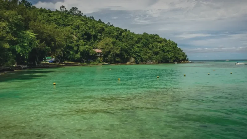 Sapi Island(3)