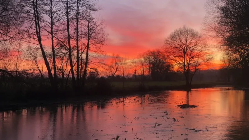 Sarthe River – River Walk(5)