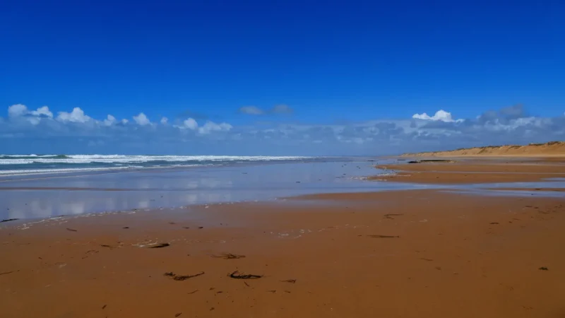 Sauveterre Beach – Nature beach(5)