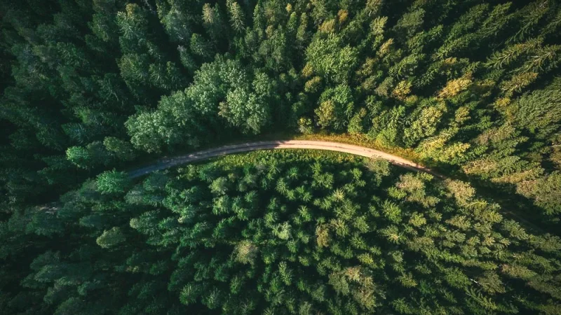 Scenic Country Roads – Landscapes(5)
