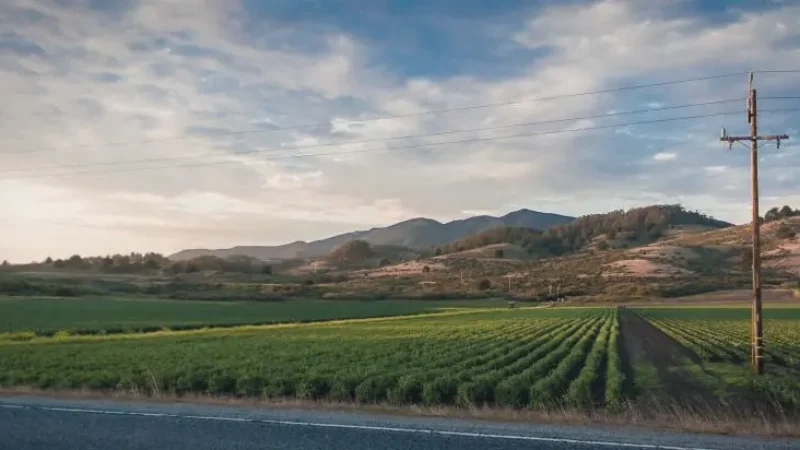 Scenic Countryside Roads – Rural views(5)