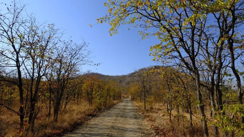 Scenic_Bushveld_Drives_тАУ_Countryside_roads_02