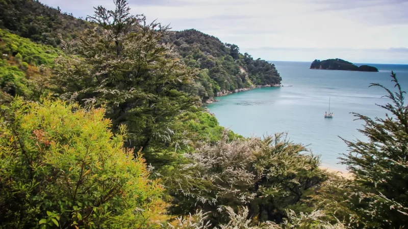 Scenic_Coastal_Lookouts_тАУ_Elevated_Viewpoints_02