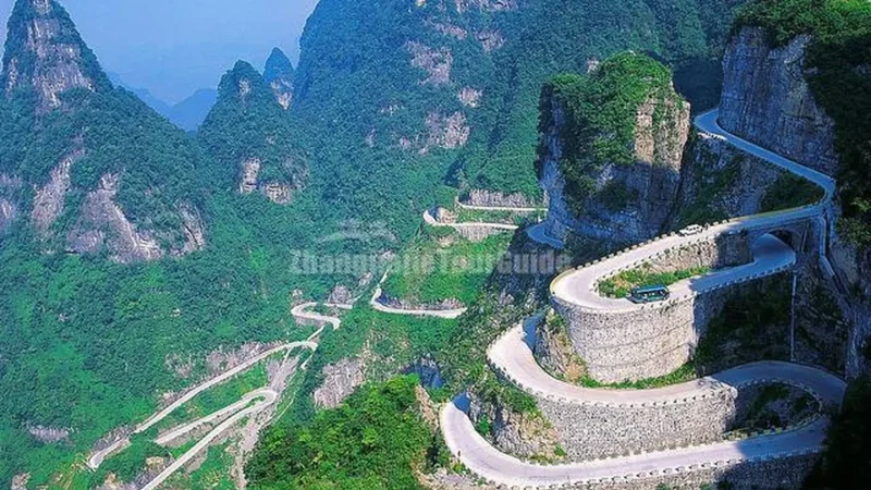 Scenic_Drives_тАУ_Forested_mountain_roads_05