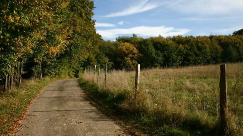 Scenic_Drives_тАУ_Free_State_landscapes_01