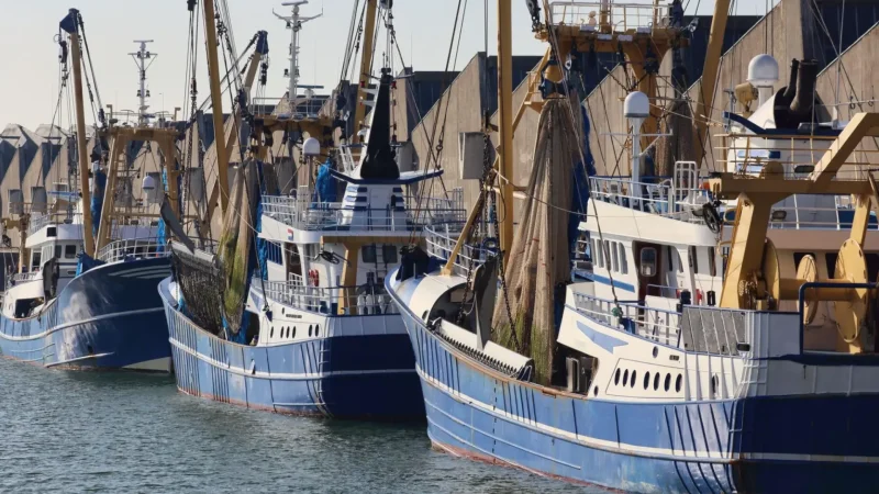 Scheveningen_Fishing_Harbour_04