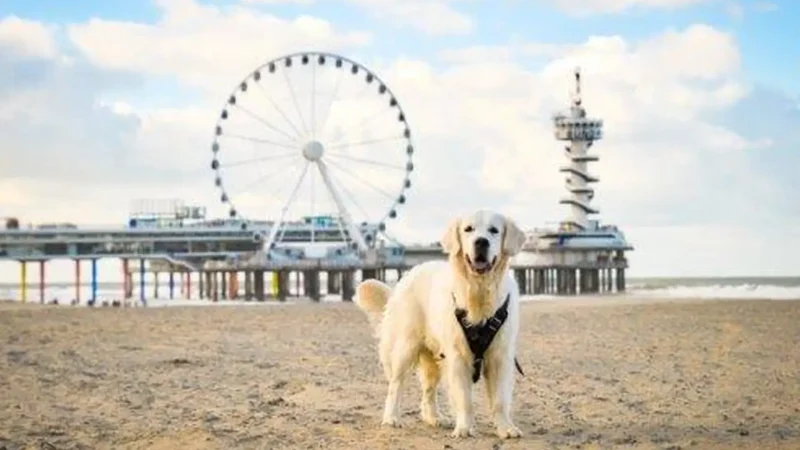 Scheveningen_water_sports_area_01