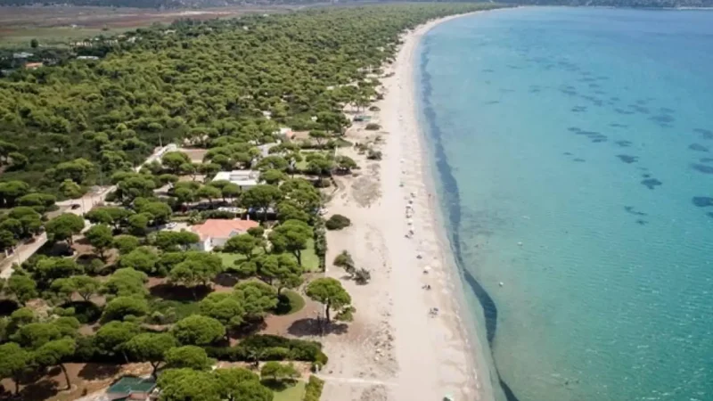 Schinia_Beach_02