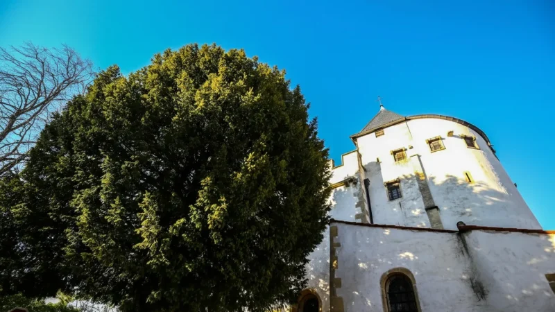 Scy-Chazelles Village(1)