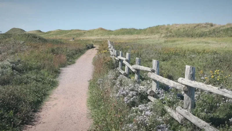 Sea Breeze Walking Paths – Relaxed strolls(7)