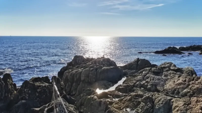 Sea Horizon Viewing S(1)