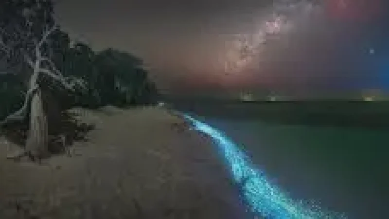 Sea of Stars Beach (Seasonal) – Iconic glowing blue plankton a(5)