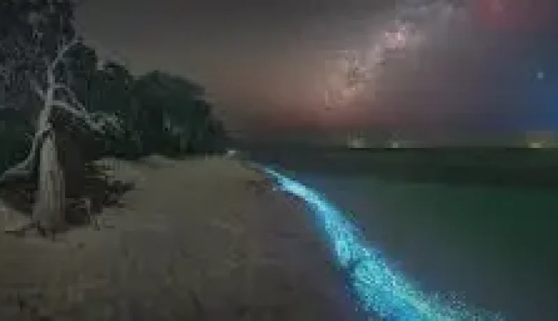 Sea of Stars Beach (Seasonal) – Iconic glowing blue plankton a(5)