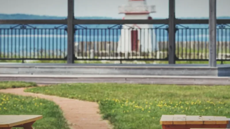 Seaside Picnic Areas – Rest spots by the bay(3)