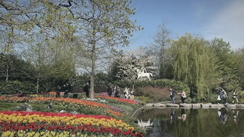 Seasonal Flower Displays – Garden features(5)