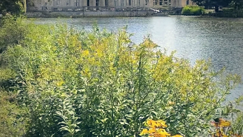 Seasonal Flower Displays(1)