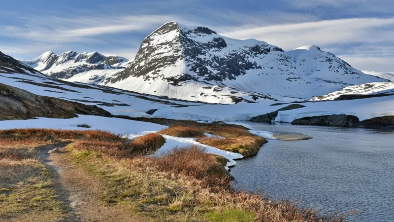 Seasonal Snow Views – Late Spring Snow(1)