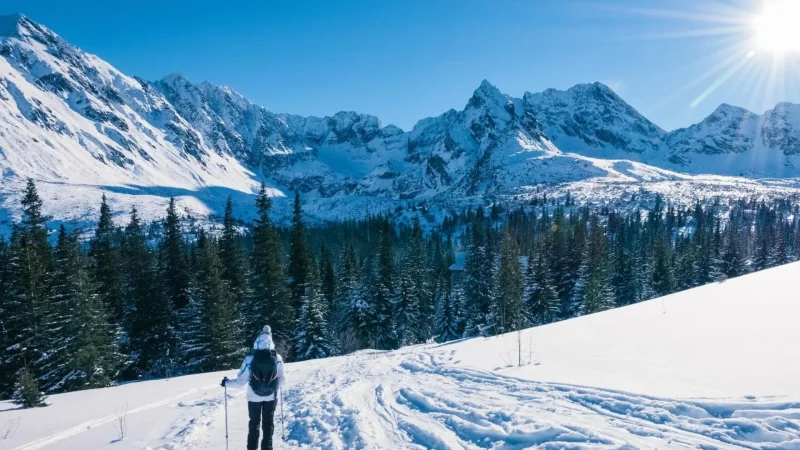 Seasonal_Snow_Routes_03