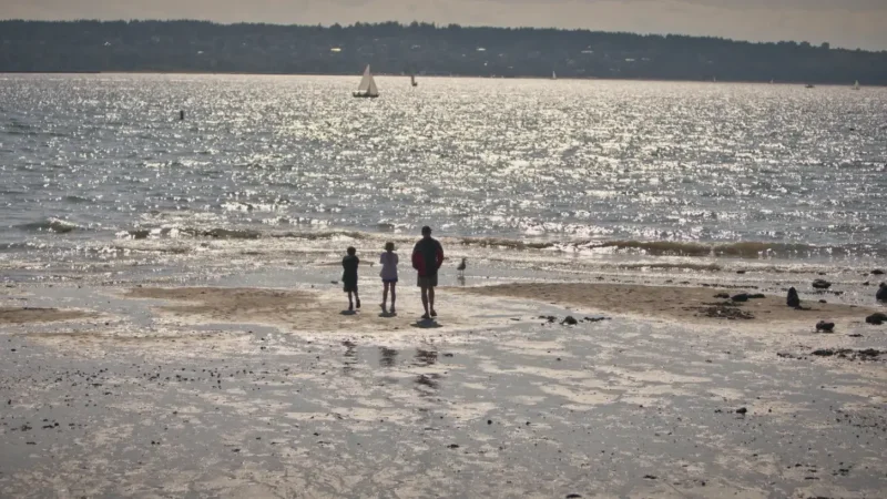 Second Beach – Family Beach(3)