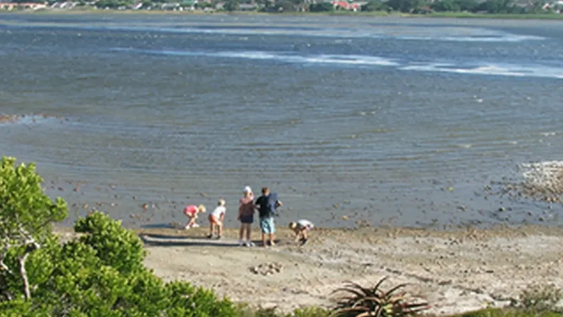Seekoei_River_тАУ_Estuary_walks_and_birdlife_05