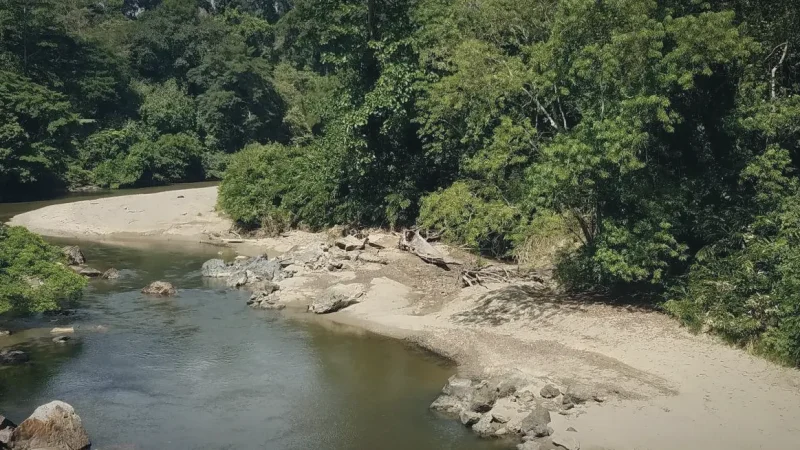 Segama River Viewpoint(4)