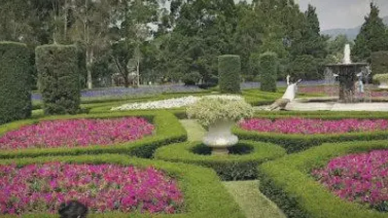Selecta Flower Garden (Taman Selecta)(6)
