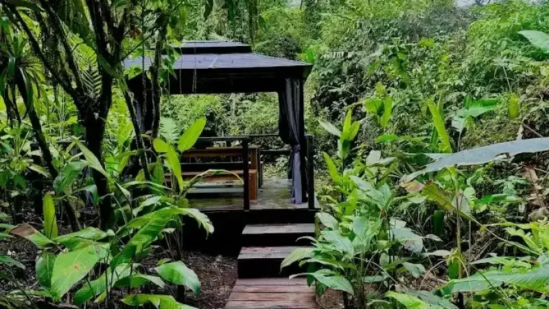 Sensoria_Land_of_Senses6