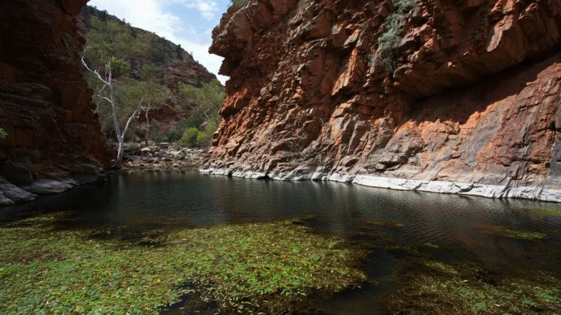 Serpentine Gorge – Quiet Gorge Area(2)